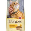 Burgess Cat Javame